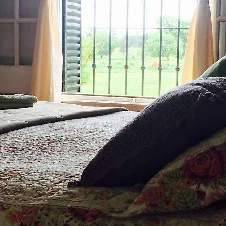 The Polo House Bed and Breakfast Πιλάρ Εξωτερικό φωτογραφία